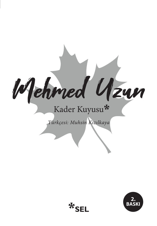 Kader Kuyusu - Sel Yayıncılık Kitap