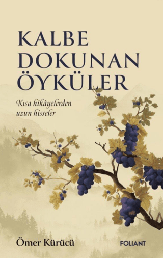 Kalbe Dokunan Öyküler - Foliant Yayınları Kitap