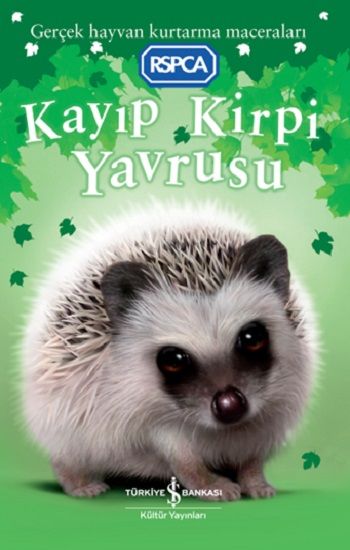 Kayıp Kirpi Yavrusu - İş Bankası Kültür Yayınları Kitap