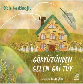 Gökyüzünden Gelen Gri Tüy - İthaki Yayınları Kitap