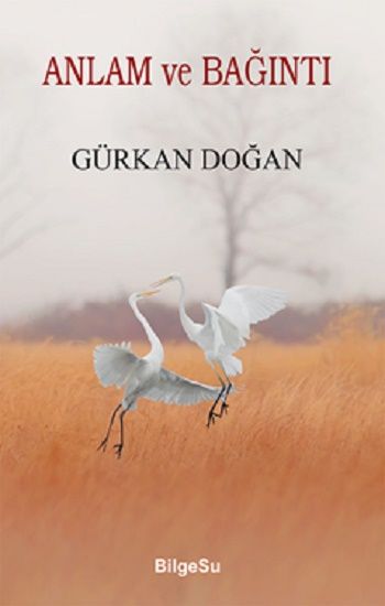 Anlam Ve Bağıntı - BilgeSu Yayıncılık Kitap