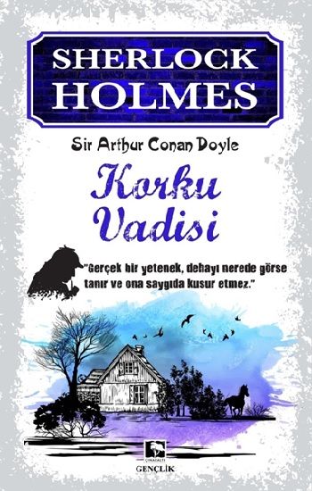 Korku Vadisi - Çınaraltı Yayınları Kitap