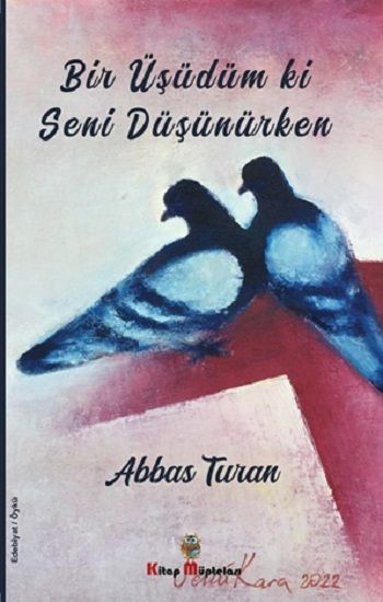Bir Üşüdüm ki Seni Düşünürken - Kitap Müptelası Yayınları Kitap