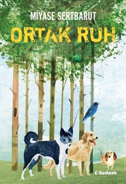 Ortak Ruh  Sisin Sakladıkları-2 - Tudem Yayınları Kitap