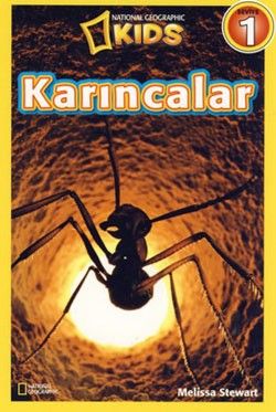 Karıncalar - Seviye 1 Melissa Stewart Türkçe çocuk kitabı kapağı
