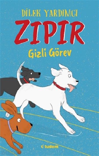 Zıpır Gizli Görev - Tudem Yayınları Kitap