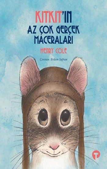 Kıtkıt'ın Az Çok Gerçek Maceraları - Turkuvaz Kitap Kitap