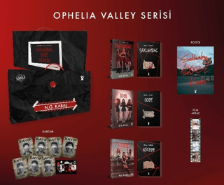 Saklambaç Serisi Kutulu Set (Ciltli) - Dex Yayınevi Kitap