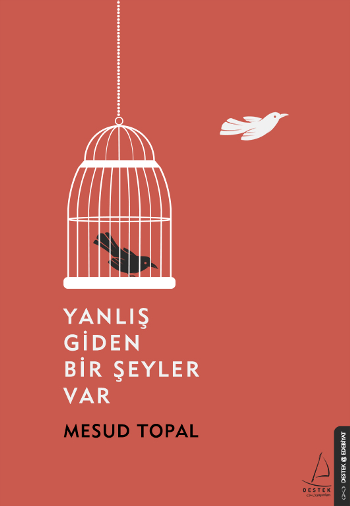 Yanlış Giden Bir Şeyler Var - Destek Yayınları Kitap