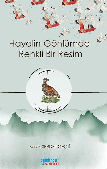 Hayalin Gönlümde Renkli Bir Resim - Gülnar Yayınları Kitap