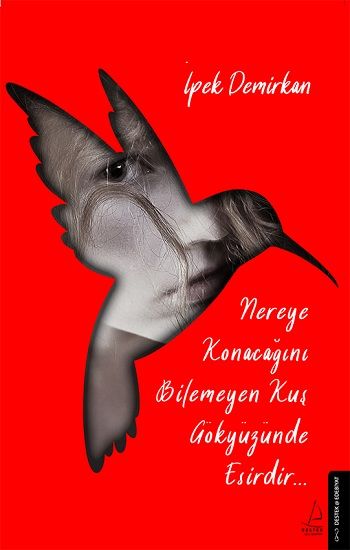 Nereye Konacağını Bilemeyen Kuş Gökyüzünde Esirdir - Destek Yayınları Kitap