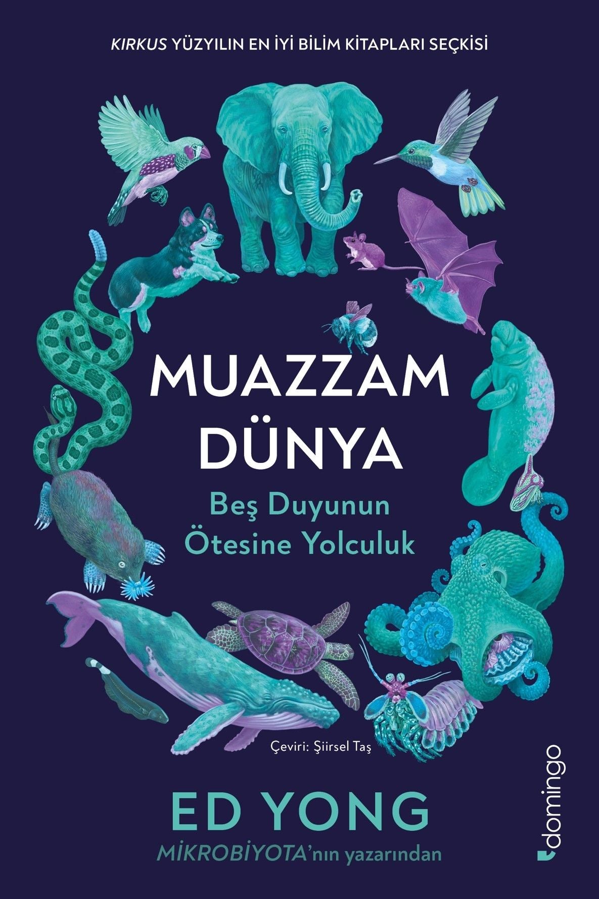 Muazzam Dünya - Domingo Yayınevi Kitap