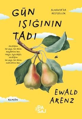 Gün Işığının Tadı - Yan Pasaj Yayınevi Kitap