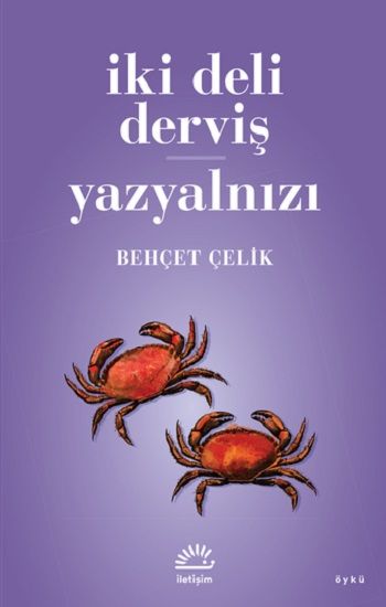 İki Deli Derviş - Yazyalnızı - İletişim Yayınları Kitap