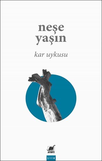 Kar Uykusu - Ayrıntı Yayınları Kitap