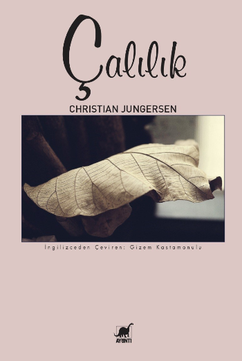 Çalılık - Ayrıntı Yayınları Kitap