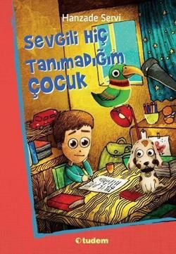 Sevgili Hiç Tanımadığım Çocuk - Tudem Yayınları Kitap