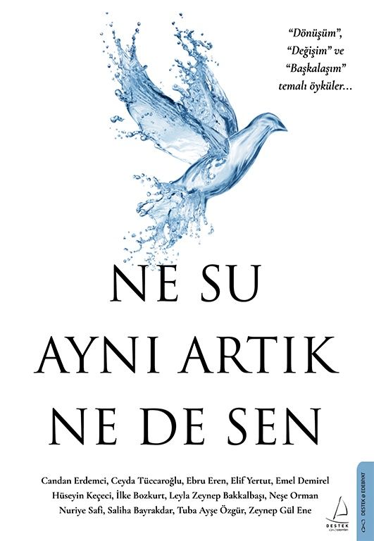 Ne Su Aynı Artık Ne de Sen - Destek Yayınları Kitap