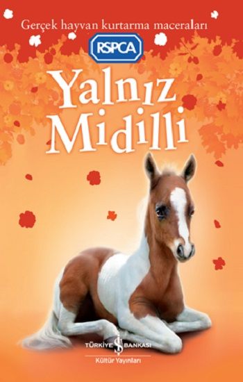 Yalnız Midilli - İş Bankası Kültür Yayınları Kitap