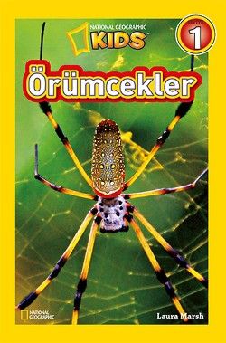 Örümcekler - Beta Kids Kitap