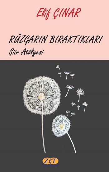 Rüzgarın Bıraktıkları - Zet Yayınları Kitap