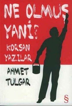 Ne Olmuş Yani? - Ahmet Tulgar, Türkiye Siyaseti Ve Politikası Türkçe kitap kapağı
