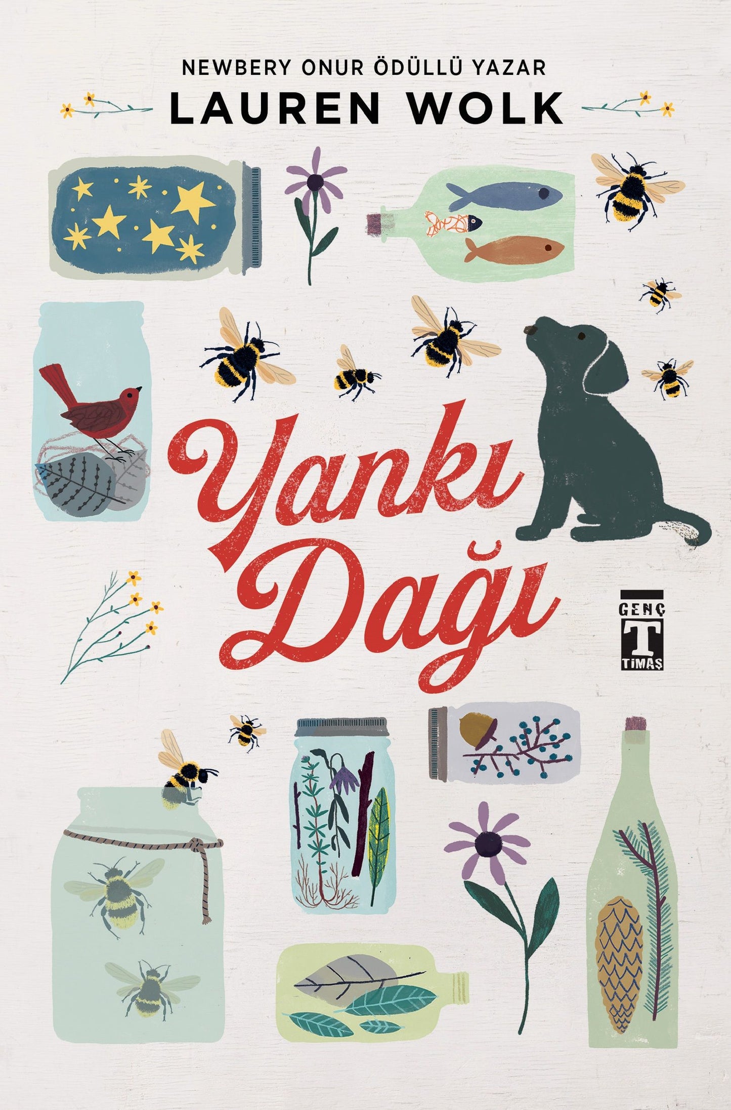 Yankı Dağı - Genç Timaş Kitap