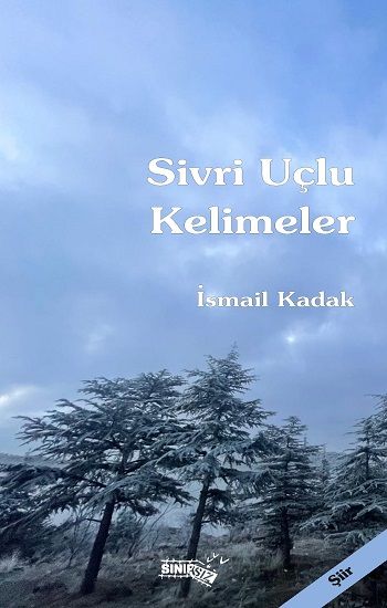 Sivri Uçlu Kelimeler - Sınırsız Kitap Kitap