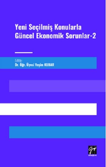Yeni Seçilmiş Konularla Güncel Ekonomik Sorunlar 2 - Gazi Kitabevi Kitap