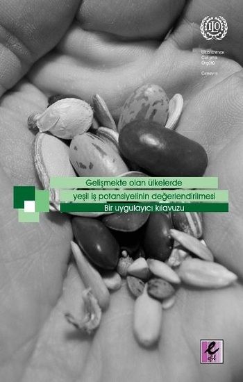Gelişmekte Olan Ülkelerde Yeşil İş Potansiyelinin Değerlendirilmesi - Efil Yayınevi Kitap