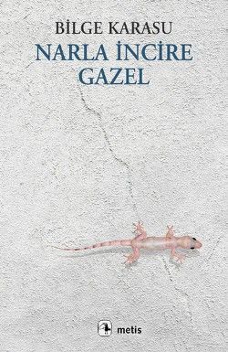 Narla İncire Gazel Bilge Karasu Türkçe kitap kapağı