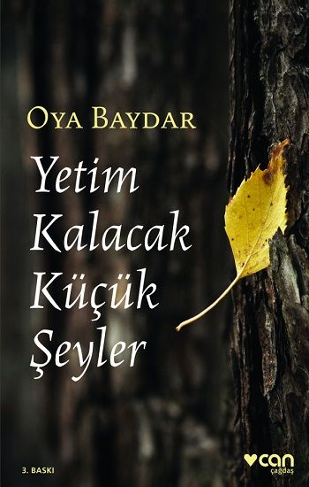 Yetim Kalacak Küçük Şeyler - Can Yayınları Kitap