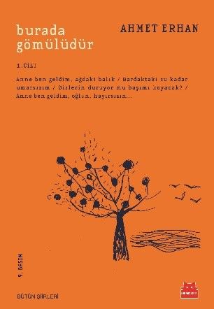 Burada Gömülüdür 1. Cilt - Kırmızı Kedi Yayınevi Kitap