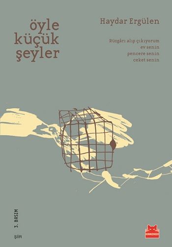 Öyle Küçük Şeyler - Kırmızı Kedi Yayınevi Kitap
