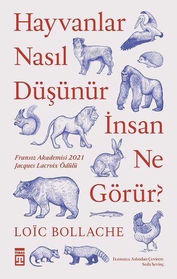 Hayvanlar Nasıl Düşünür, İnsan Ne Görür? - Timaş Yayınları Kitap