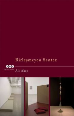 Birleşmeyen Sentez Ali Akay Türkçe kitap kapağı