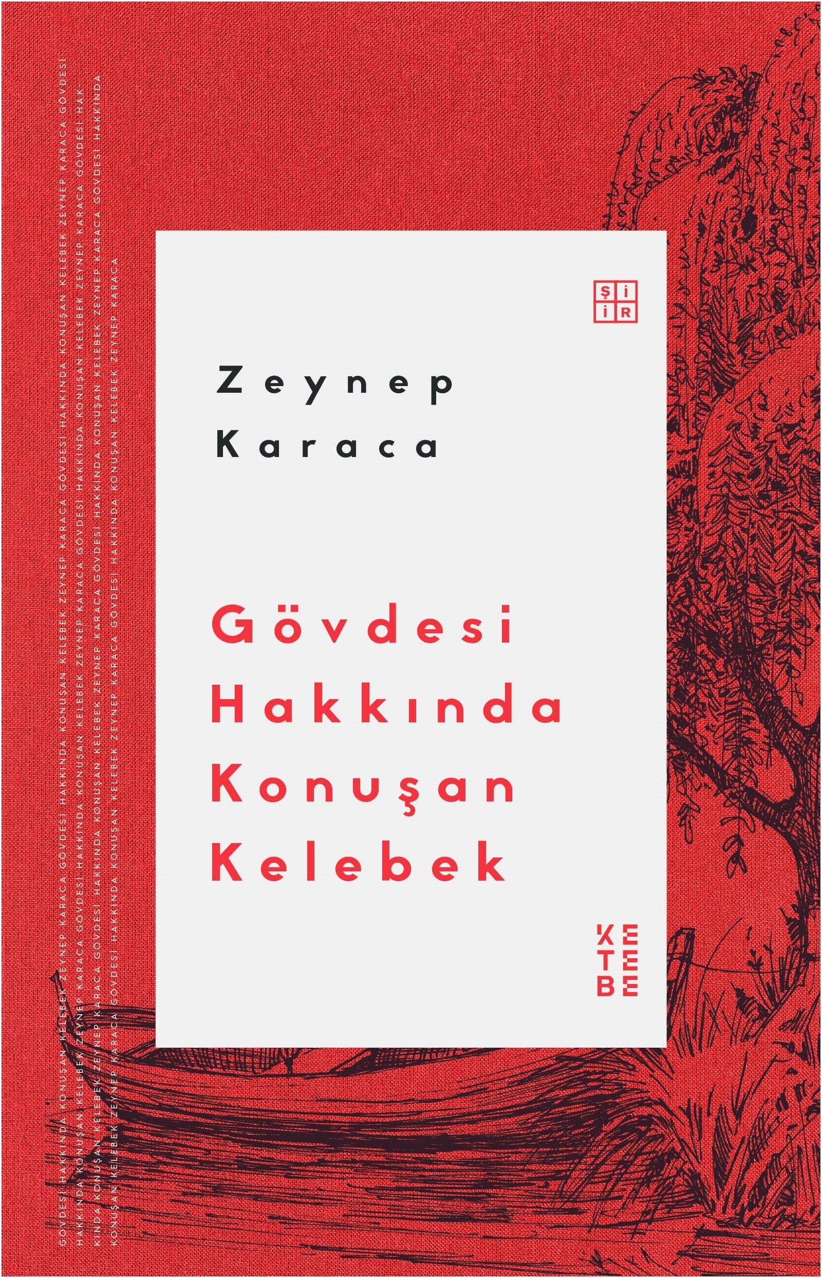 Gövdesi Hakkında Konuşan Kelebek - Ketebe Yayınları Kitap