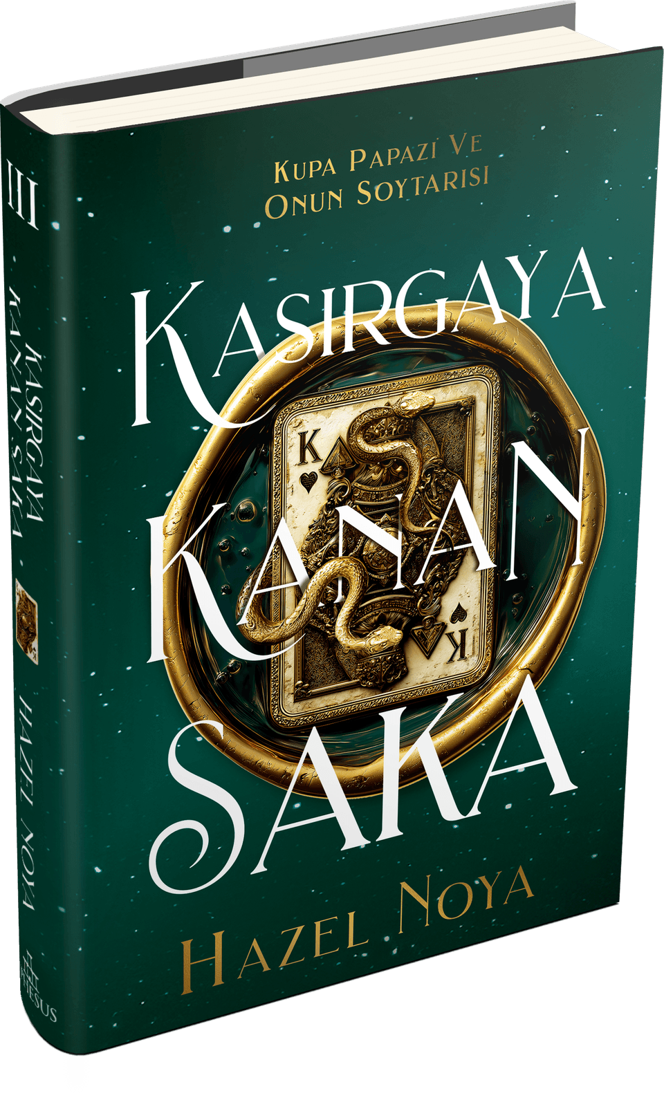 Kasırgaya Kanan Saka 3 - Ciltli - Ephesus Yayınları Kitap