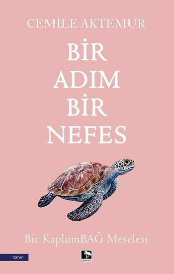 Bir Adım Bir Nefes - Çınaraltı Yayınları Kitap