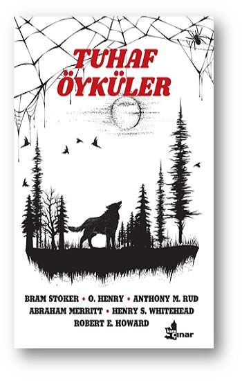 Tuhaf Öyküler - Çınar Yayınları Kitap