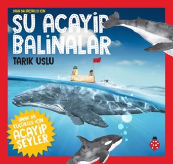 Şu Acayip Balinalar - Uğurböceği Yayınları Kitap