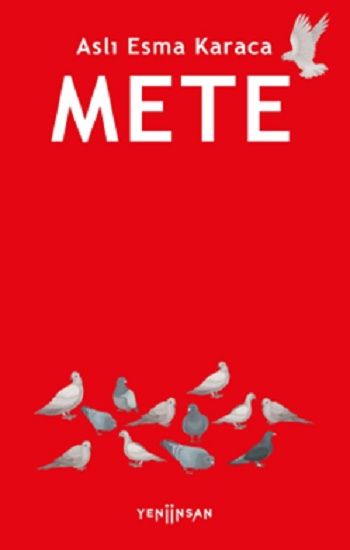 Mete - Yeni İnsan Yayınları Kitap