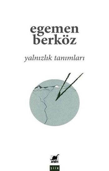Yalnızlık Tanımları - Ayrıntı Yayınları Kitap