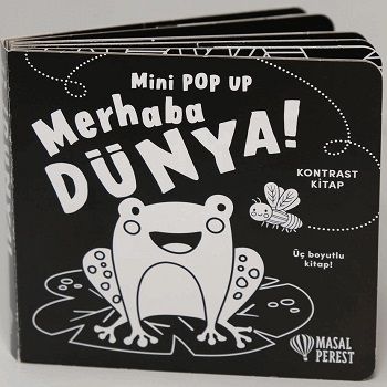 Merhaba Dünya - Mini Pop Up (Ciltli) - Masalperest Kitap