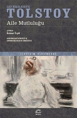 Aile Mutluluğu - İletişim Yayınları Kitap