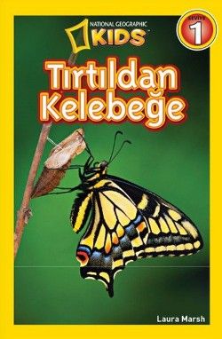 Tırtıldan Kelebeğe - Beta Kids Kitap