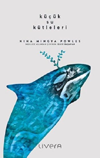 Küçük Su Kütleleri - Livera Yayınevi Kitap