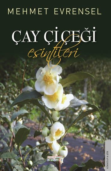 Çay Çiçeği Esintileri - Gimsetap Yayınları Kitap