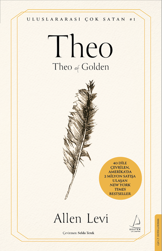 Theo - Destek Yayınları Kitap