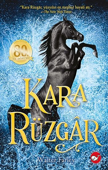 Kara Rüzgar - Beyaz Balina Yayınları Kitap